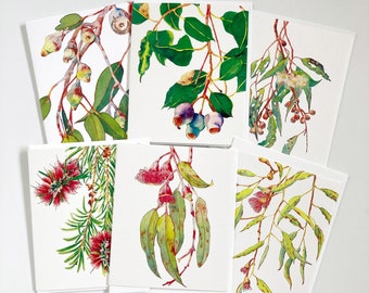 Australian flora greeting card set of 6 cards, blank inside suitable for any occasion