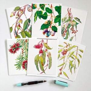 Australian flora greeting card set of 6 cards, blank inside suitable for any occasion
