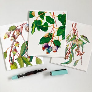 Eucalyptus greeting cards variety set of 3 cards with envelopes
