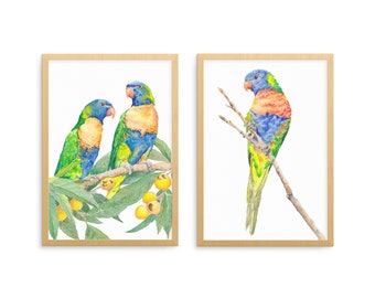 Rainbow Lorikeet print set A5, 10x8, A4, 14x11, A3; Australian native birds; wall art gift for nature lover