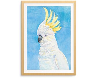 Sulphur Crested Cockatoo art print A5, A4; Australian native bird