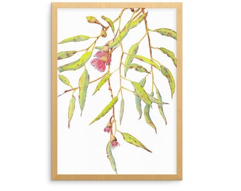 Red flowering eucalyptus print A5, 10x8, A4, 14x11, A3; modern botanical illustration; Australian nature art gift for home