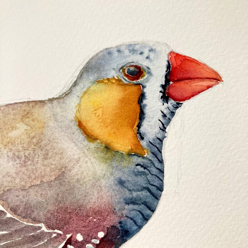 Zebra Finch original watercolour painting 7x10 inches, Australian bird illustration image 2