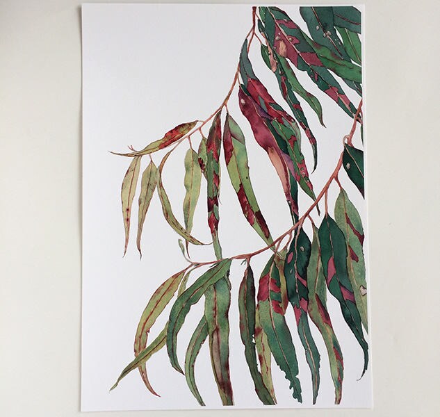 Gum Tree Print A5 10x8 A4 14x11 A3 Botanical Watercolour - Etsy Australia