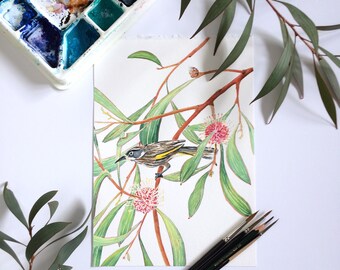 Original watercolor painting by Zoya Makarova A4: Australian nature Pincushion Hakea and New Holland Honeyeater