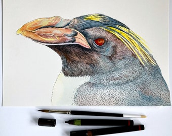 Original ink and watercolour painting A4 of a Macaroni Penguin, vulnerable Antarctic bird