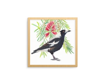 Australian magpie & bottlebrush tree branch square print; Australian flora and fauna wall art print