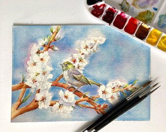 Original painting: spring almond blossoms and silvereye bird.  Australian nature watercolour