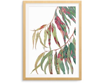 Gum tree print A5, 10x8, A4, 14x11, A3; botanical watercolour wall art eucalyptus leaves; Australian native flora