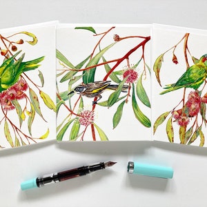Australian birds greeting cards variety set of 3 cards with envelopes; aussie flora and fauna