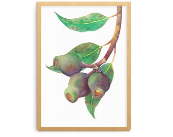 Gum tree branch print A5, 10x8, A4; Australian nature wall decor; botanical watercolour art