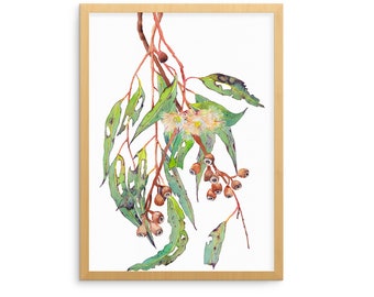 Eucalyptus blossom print; Australian botanical illustration gift for nature lover