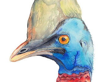 Cassowary - original watercolour painting of Australian bird A4