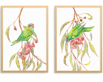 Musk Lorikeet: peaceful matching wall art set of 2 prints; Australian native bird and eucalyptus tree