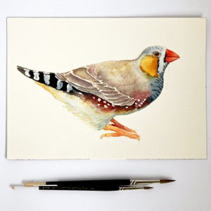 Zebra Finch original watercolour painting 7x10 inches, Australian bird illustration image 1