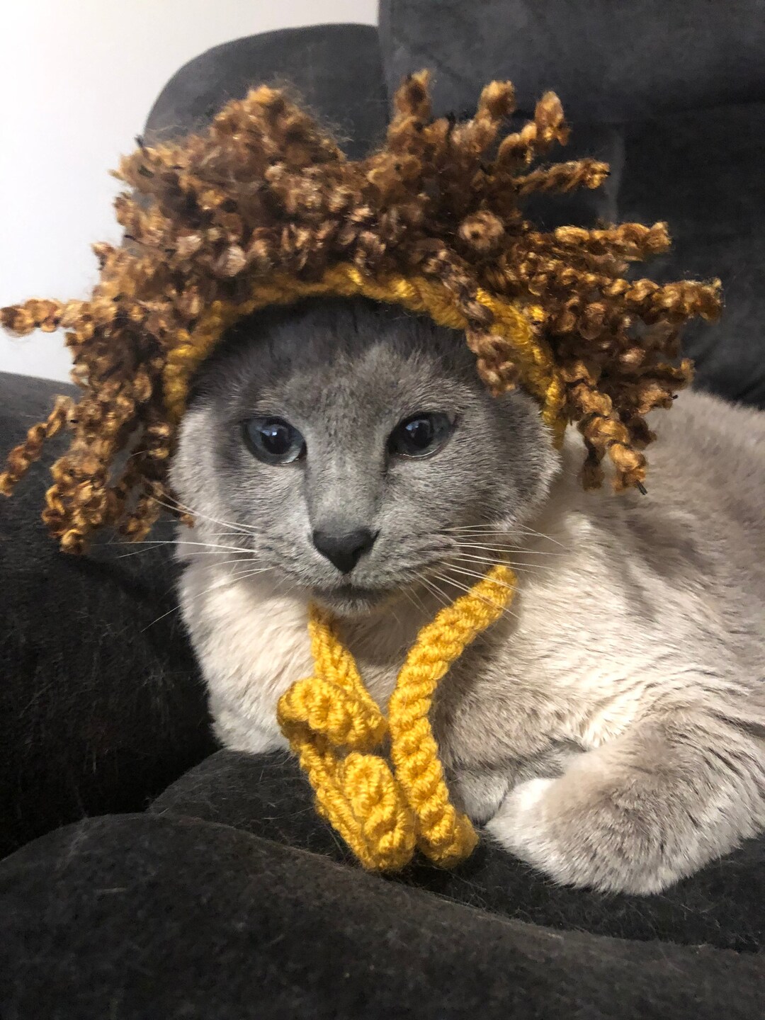 Lion Hat for Small Pets Ready to Ship Halloween Costume Photo Prop