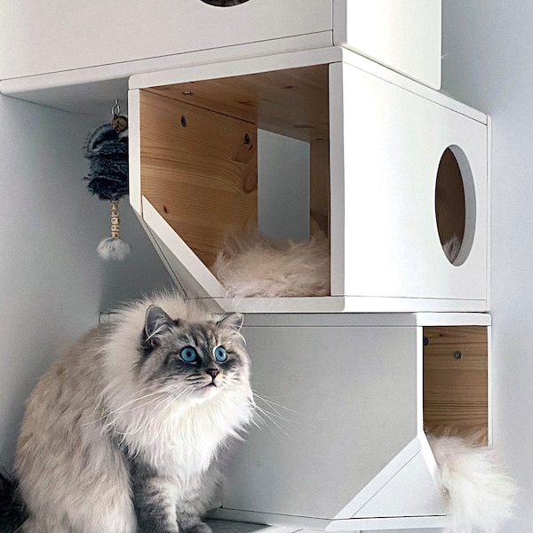 White Modular Cat House