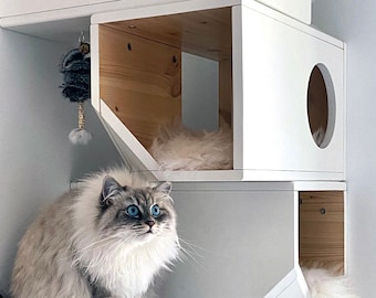 White Modular Cat House