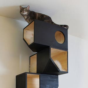 Black Catissa, Modular Cat House image 6