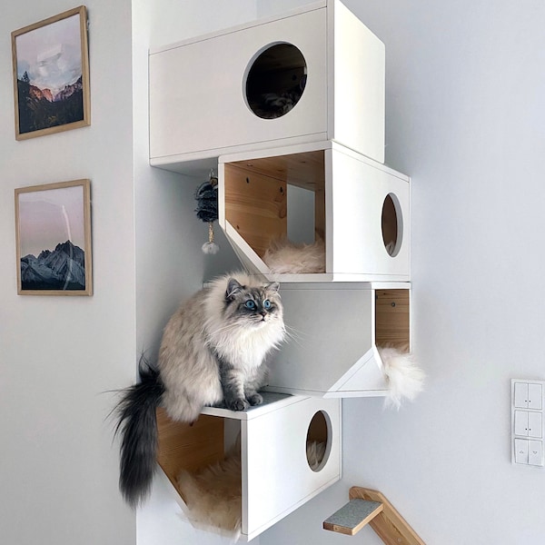 Wit modulair kattenhuis