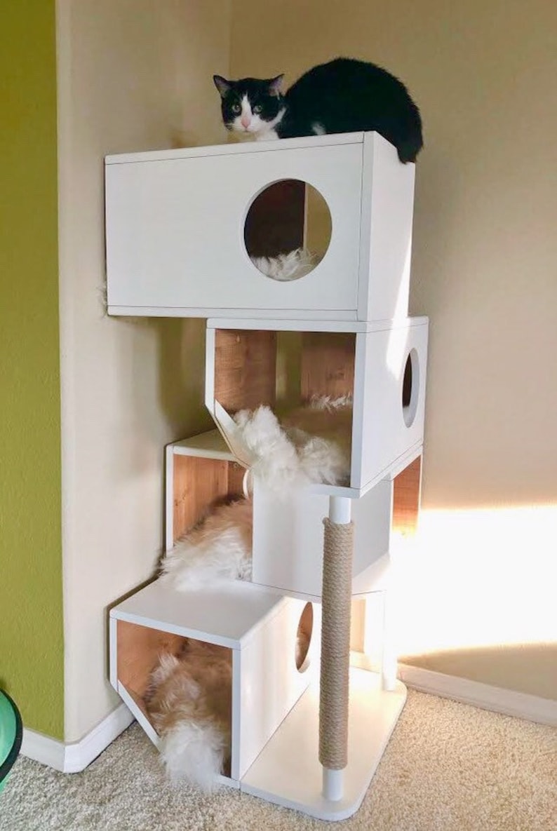 Casa modular de madera independiente para gatos imagen 4