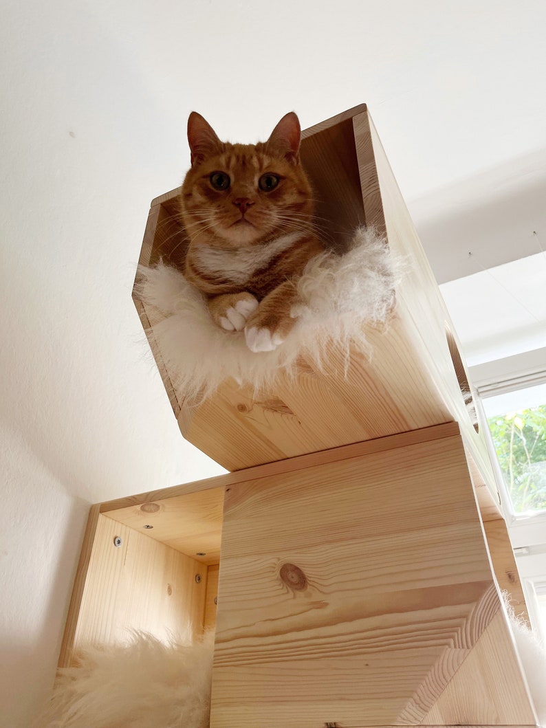 Casa modular de madera para gatos imagen 6