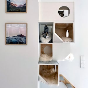 White Modular Cat House image 3