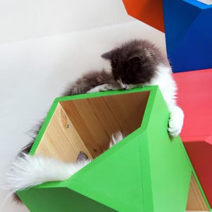 Colorful Catissa, Modular Cat House image 2
