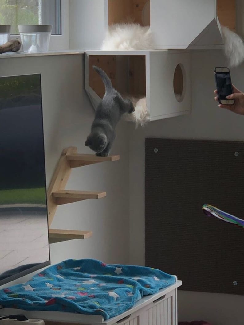 White Modular Cat House image 4