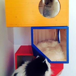 Colorful Catissa, Modular Cat House image 3