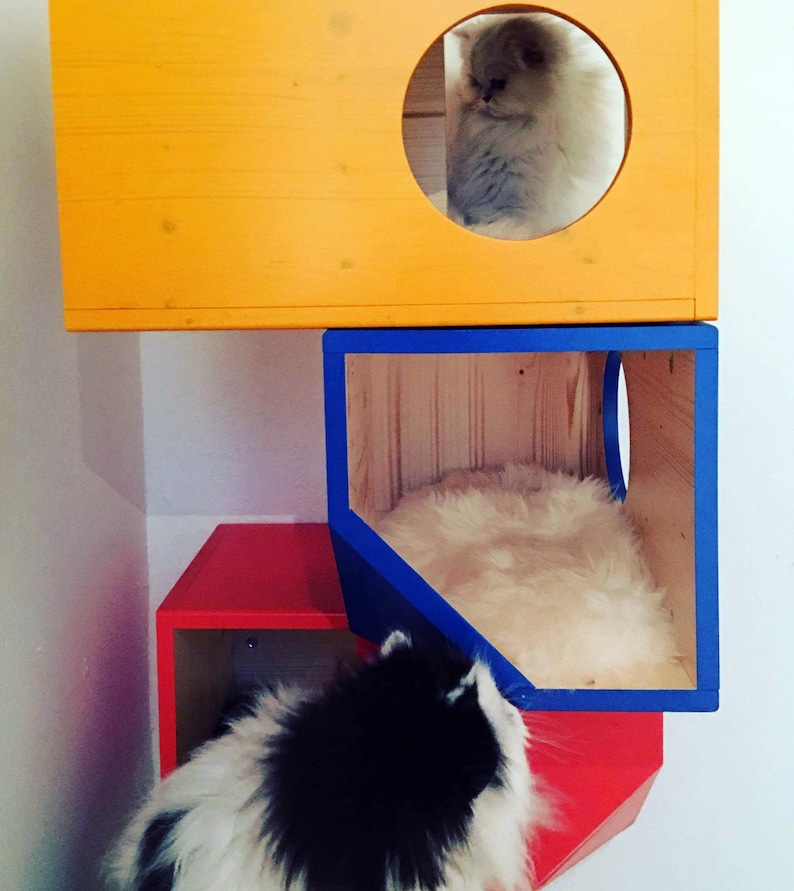 Colorful Catissa, Modular Cat House image 3