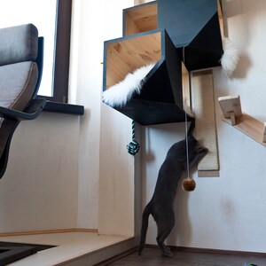 Black Catissa, Modular Cat House image 2