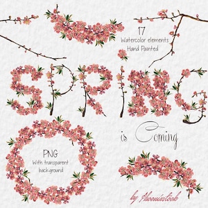 Aquarel illustraties lente/aquarel illustraties bloesem/aquarel kers/aquarel kersenbloesem/clipart lente/aquarel alfabet