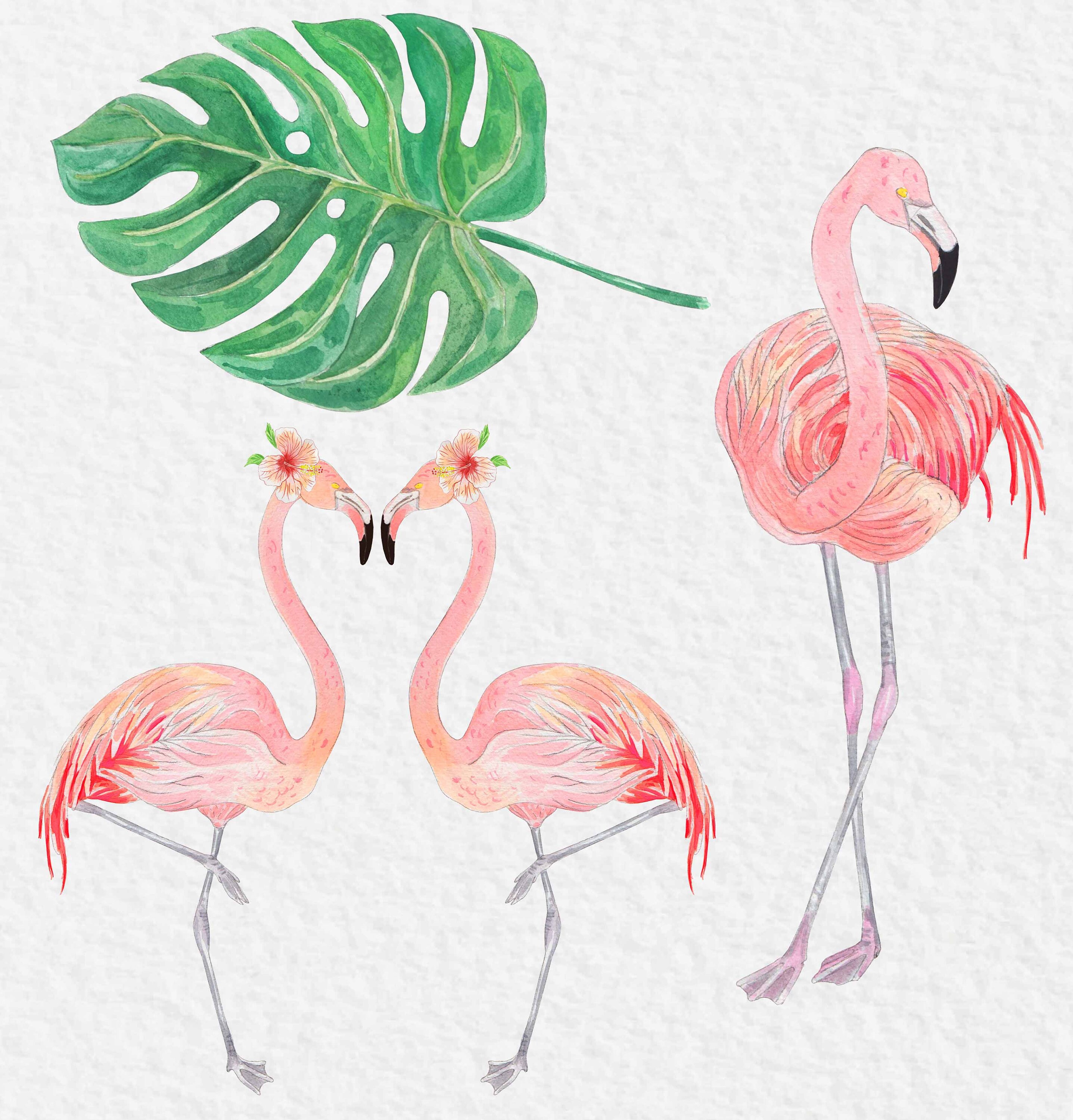 Watercolor Clip Art Flamingo/clip Art Tropical/watercolor - Etsy