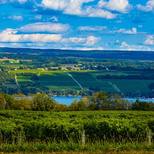 Upstate NY printable art, Watkins Glen Lake Seneca finger lakes wall print. Landscape print.  Cabin wall art. Vineyards. Digital Image