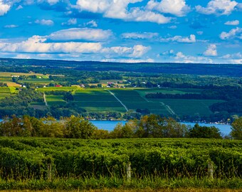 Upstate NY printable art, Watkins Glen Lake Seneca finger lakes wall print. Landscape print.  Cabin wall art. Vineyards. Digital Image
