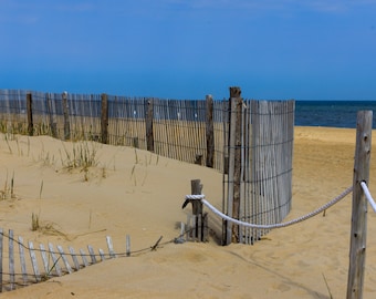 Impression de la plage de Cape Henlopen : photographie du littoral du Delaware (image numérique)