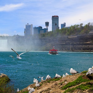 May include: A red boat with white accents sails on the Niagara River, with the American Falls in the background. Seagulls fly overhead and perch on the rocky shore.