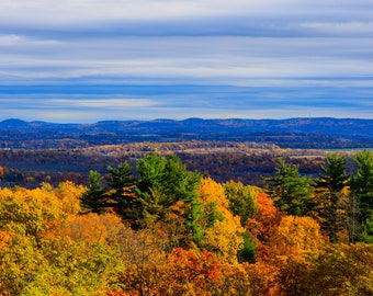 May include: A panoramic view of a forest in autumn with a blue sky and white clouds. The trees are a mix of green, yellow, orange, and red. The forest is in the foreground, and the horizon is in the background.