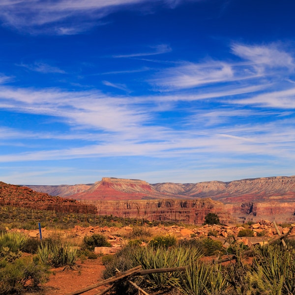 American West Grand Canyon NV printable art. Family vacation. Cabin art decor. Red sandstone blue sky. Desert landscape. Digital Image