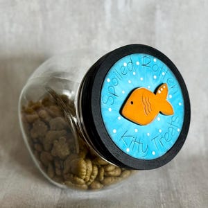 Cat Treat Jar Sign: Funny Pet Lover Kitchen Decor