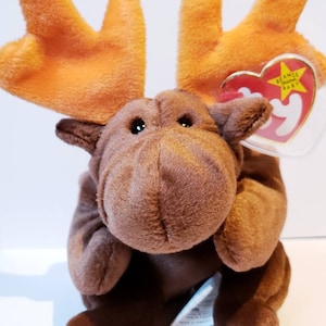 Peut inclure: Un jouet en peluche en forme d'élan marron avec de grands bois orange et une étiquette rouge en forme de cœur. L'élan a une texture douce et veloutée et est en position assise. L'étiquette indique "Beanie Original Baby".