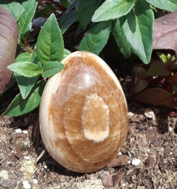 Onyx Stone Egg Cream White Brown Color Crystal Etsy
