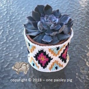 Pattern for South West Basket Set Instant Download PDF CROCHET PATTERN image 5