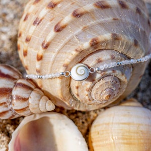 Pode incluir: Um bracelete branco e prateado com um fecho de concha branca. O bracelete está sobre um leito de conchas.