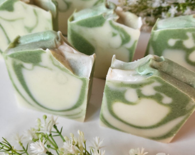 Cactus Aloe Vera Prickly Pear Artisan Soap.Plant based Aloe Vera Soap.Shea butter,Kokum butter Soap.Vegan Aloe Vera Cactus Specialty Soap.