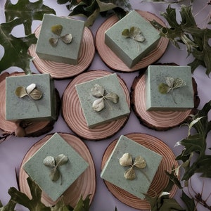 Celtic Forest Nettle and Clover Soap.Handmade Herbal Soap.  Exfoliating,aromatic,Shea, Mango,Cocoa butter,Basil.Vegan Gift Soap.Artisan Soap