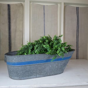 May include: A galvanized metal oval planter with a blue stripe, filled with green foliage. The planter sits on a white surface, with a light blue window frame and linen fabric with dark blue stripes in the background. A rustic, farmhouse style.