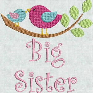 May include: Embroidered design featuring two pink and blue birds perched on a brown branch with green leaves. The text "Big Sister" is embroidered in pink below the birds.