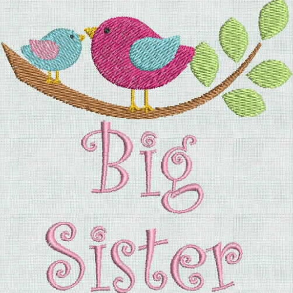 HUGE SALE! Instant Download Machine Embroidery Fonts Designs Big Sister Birds Announcement 4 x 4 PES Format Exclusive